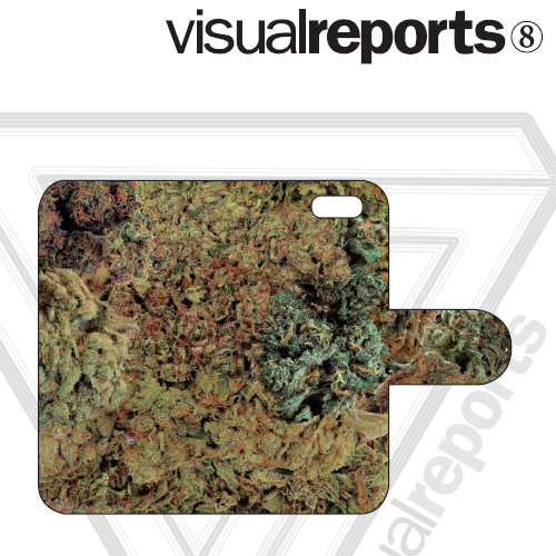 visual reports NEW ARRIVAL_d0175064_1324161.png