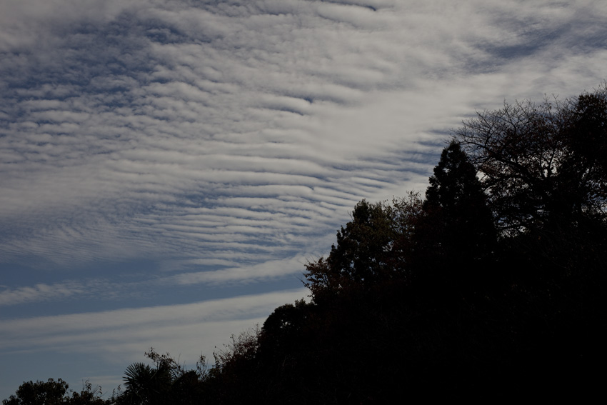 きのうの雲_e0195168_0571449.jpg