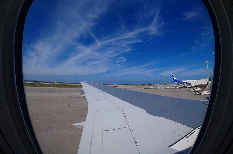 c0215970_16333337.jpg