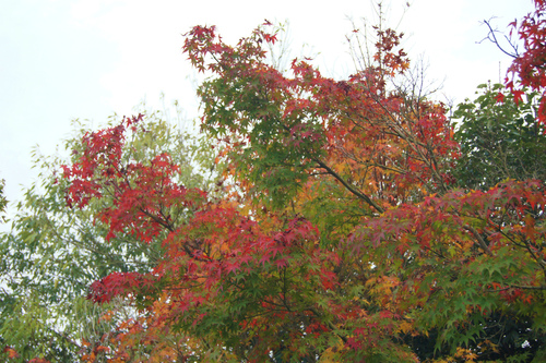 e0181373_20135255.jpg