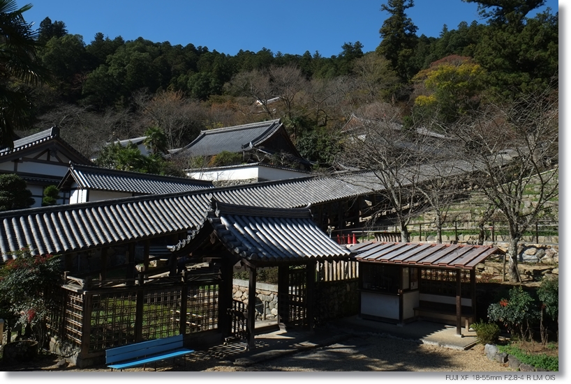 帰り道_c0054876_17291744.jpg