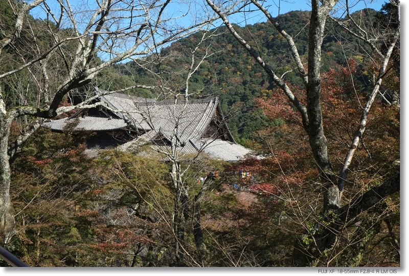 帰り道_c0054876_17294013.jpg