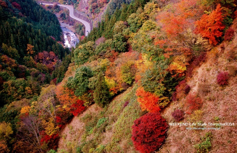 2015紅葉　上野村編_f0345580_10193829.jpg