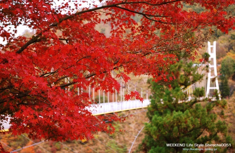 2015紅葉　上野村編_f0345580_10195987.jpg