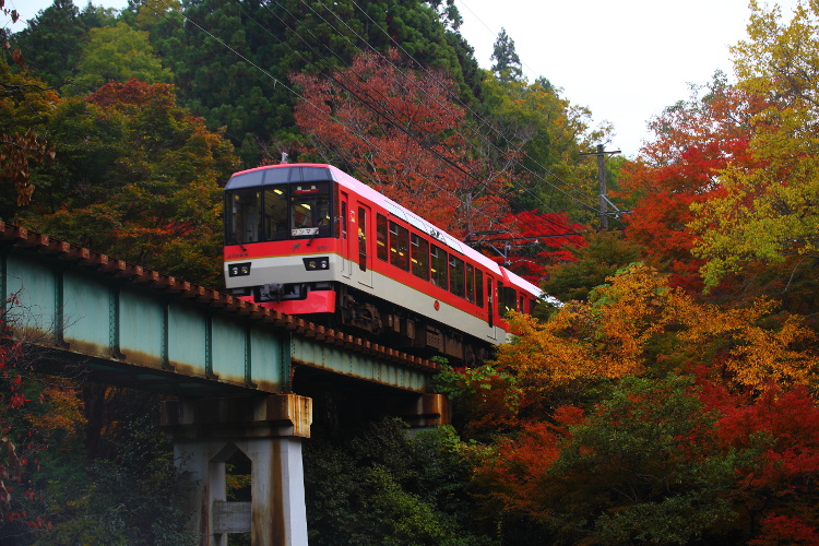 鞍馬寺_e0051888_463997.jpg