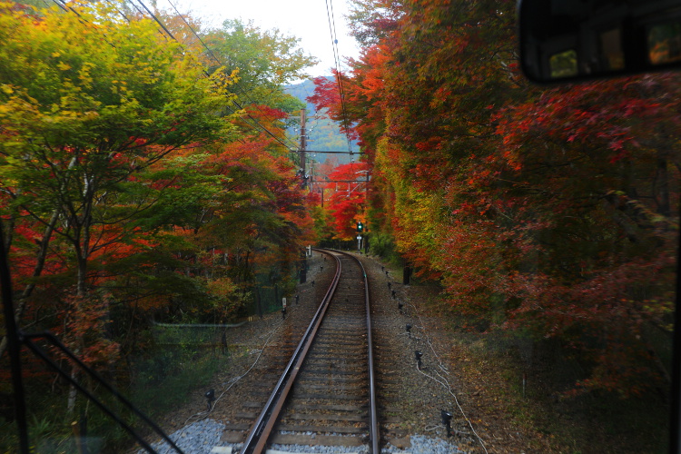 鞍馬寺_e0051888_47211.jpg