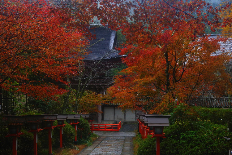 鞍馬寺_e0051888_47411.jpg