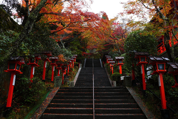 鞍馬寺_e0051888_475238.jpg