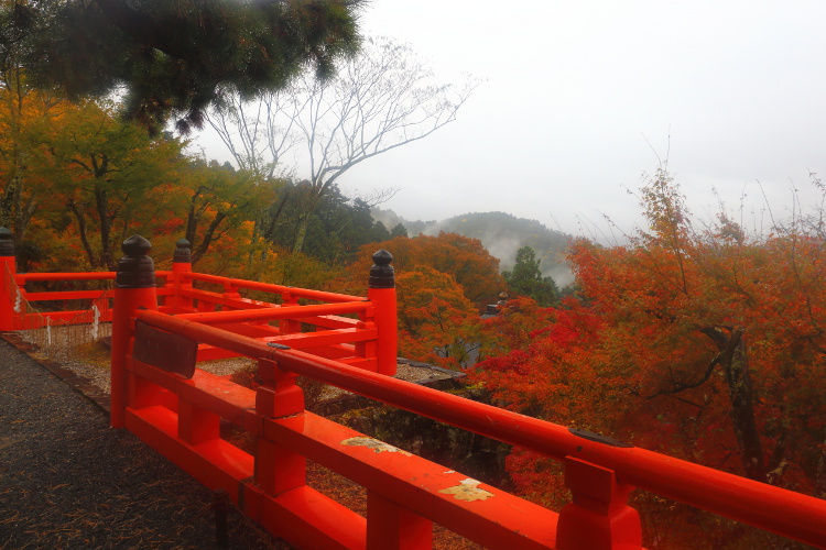 鞍馬寺_e0051888_48298.jpg