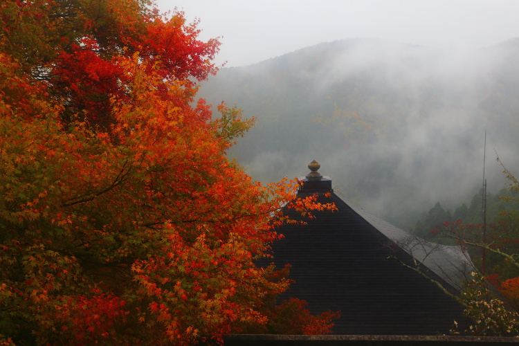 鞍馬寺_e0051888_483937.jpg