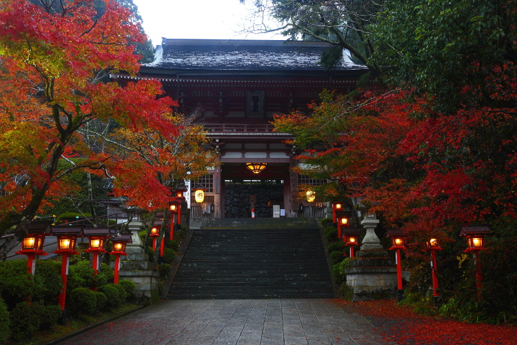 鞍馬寺_e0051888_485126.jpg