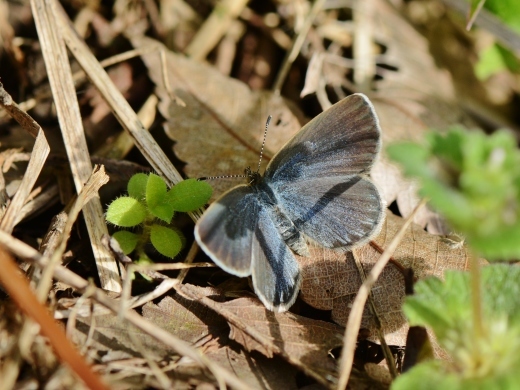f0310988_08531037.jpg