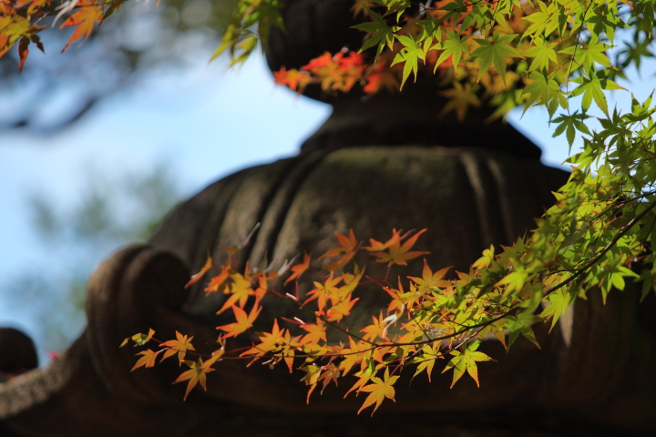 「　時代のかほり　」　六義園　_f0164989_0397.jpg