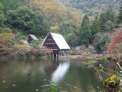 b0046204_14261745.jpg