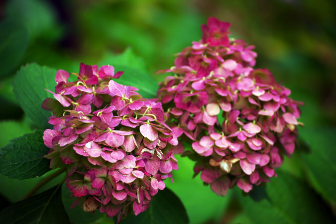 a0263109_191598.jpg