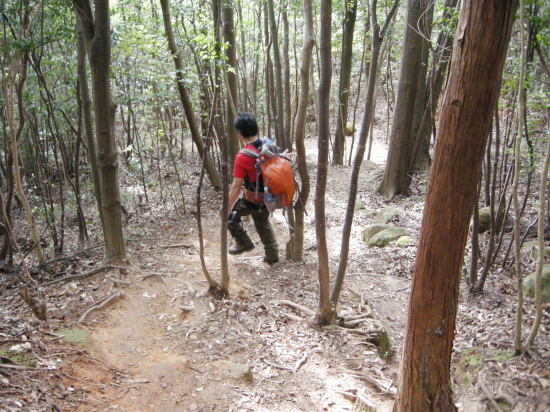 右田ヶ岳、西目山① 2015.11.22　　_f0196109_16120969.jpg