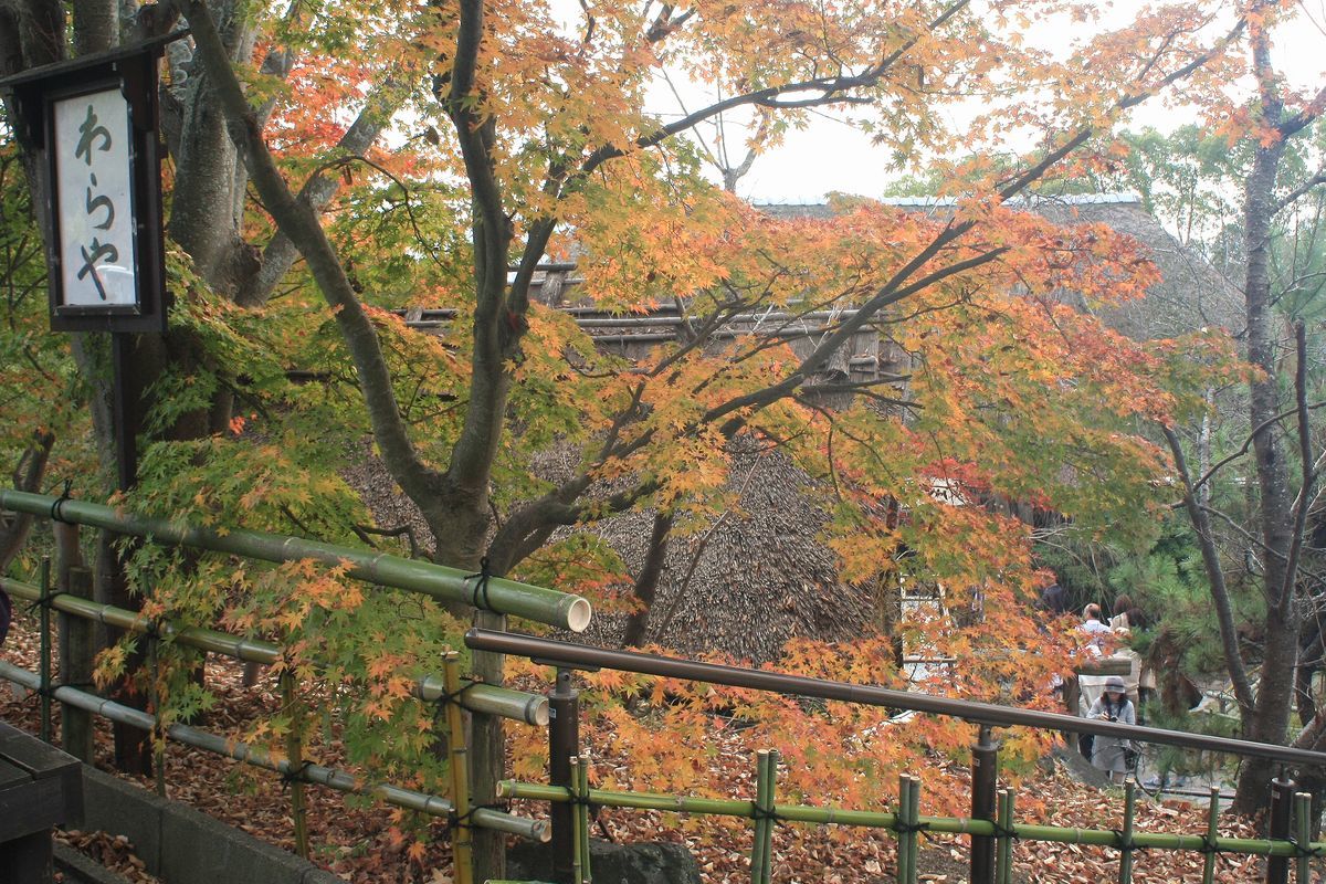 b0150110_22422529.jpg