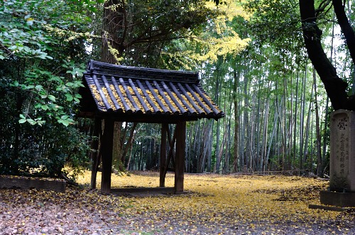 観音寺(山崎聖天)_d0098810_1944144.jpg