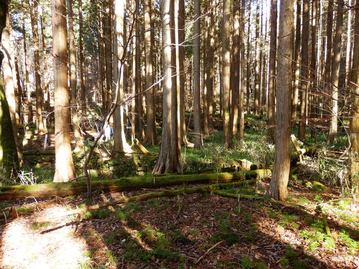 f0219710_1620411.jpg