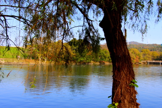 a0158613_17480082.jpg