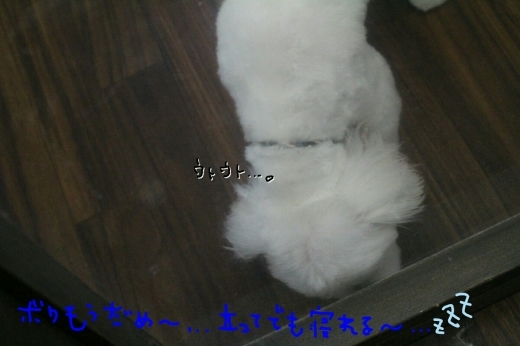 集めてます。。_b0130018_19524588.jpg