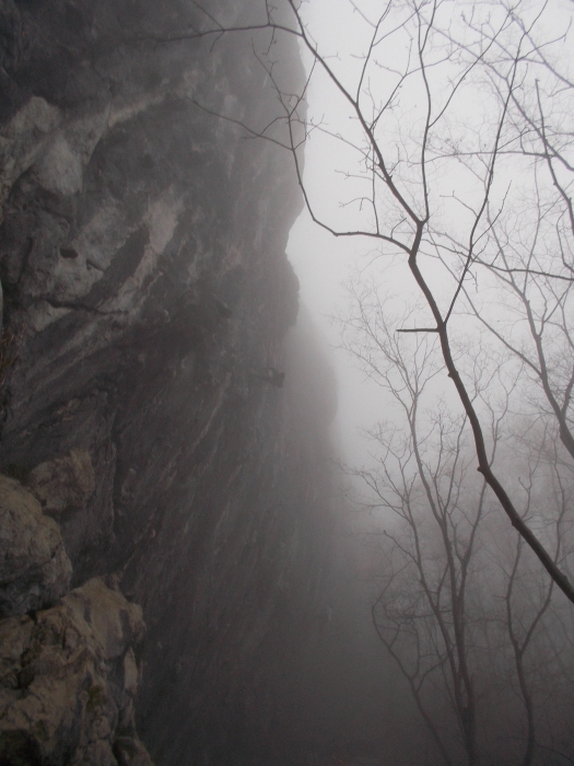 b0037220_22304143.jpg