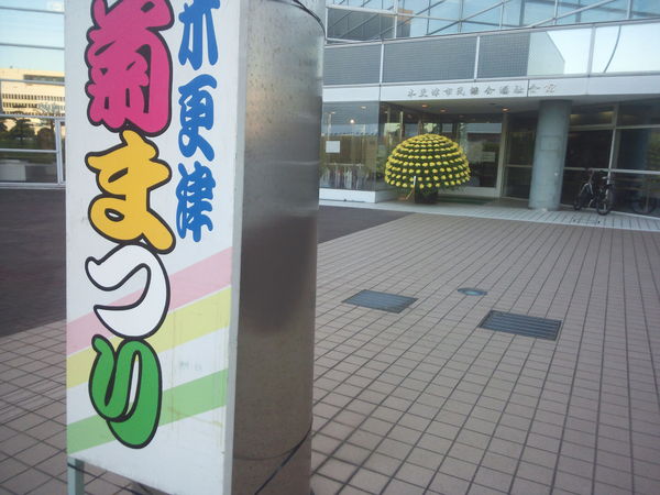 d0194120_13583429.jpg