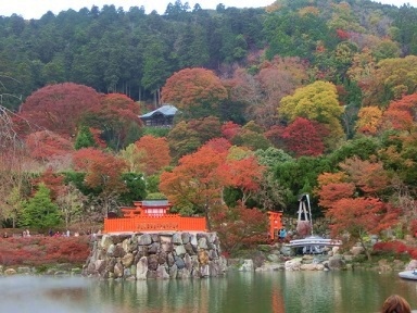 紅葉が綺麗な勝運の寺　勝尾寺へ_c0204121_034186.jpg