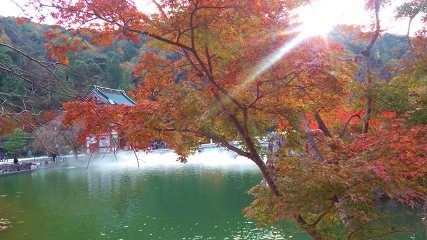 紅葉が綺麗な勝運の寺　勝尾寺へ_c0204121_0432968.jpg