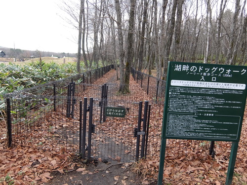 f0128821_2132287.jpg