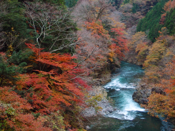 2015年11月22日16時10分 東京都西多摩郡奥多摩町境_b0244424_21515817.jpg