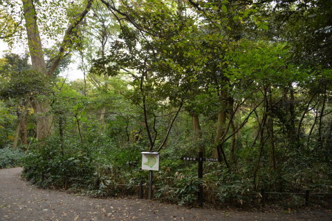 e0335926_20013491.jpg