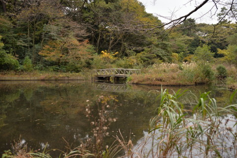 e0335926_20040497.jpg