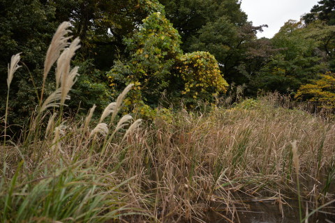 e0335926_20042921.jpg