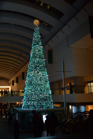e0335926_20090557.jpg
