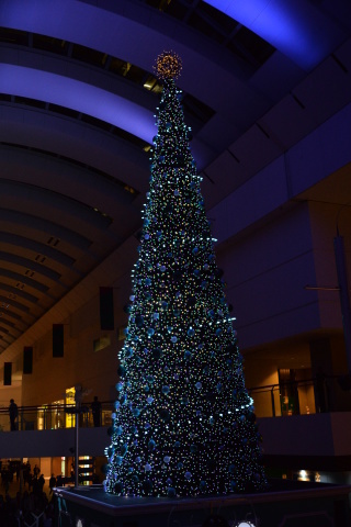 e0335926_20102653.jpg