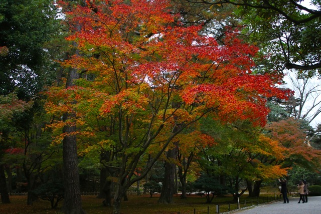 【金沢神社〜兼六園】金沢旅行 - 7 -_f0348831_21494260.jpg