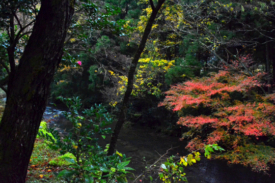 c0093046_16583889.gif