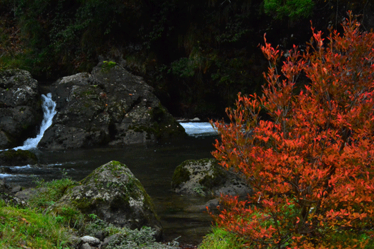 c0093046_16593538.gif