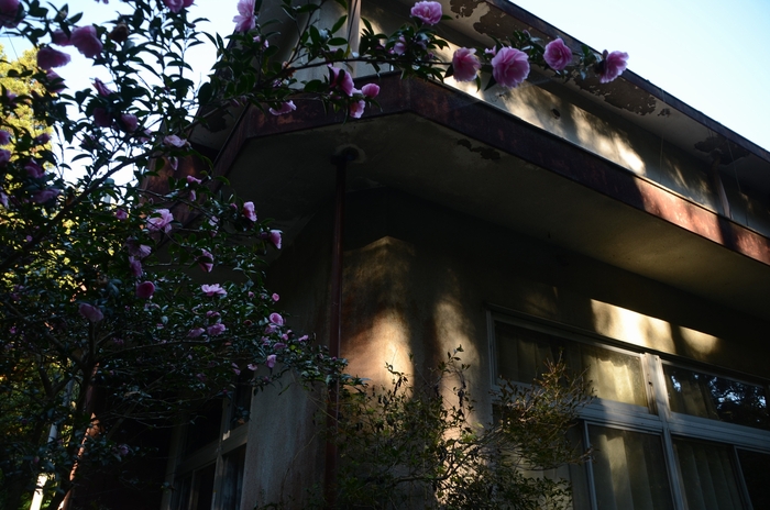 e0009147_19513145.jpg