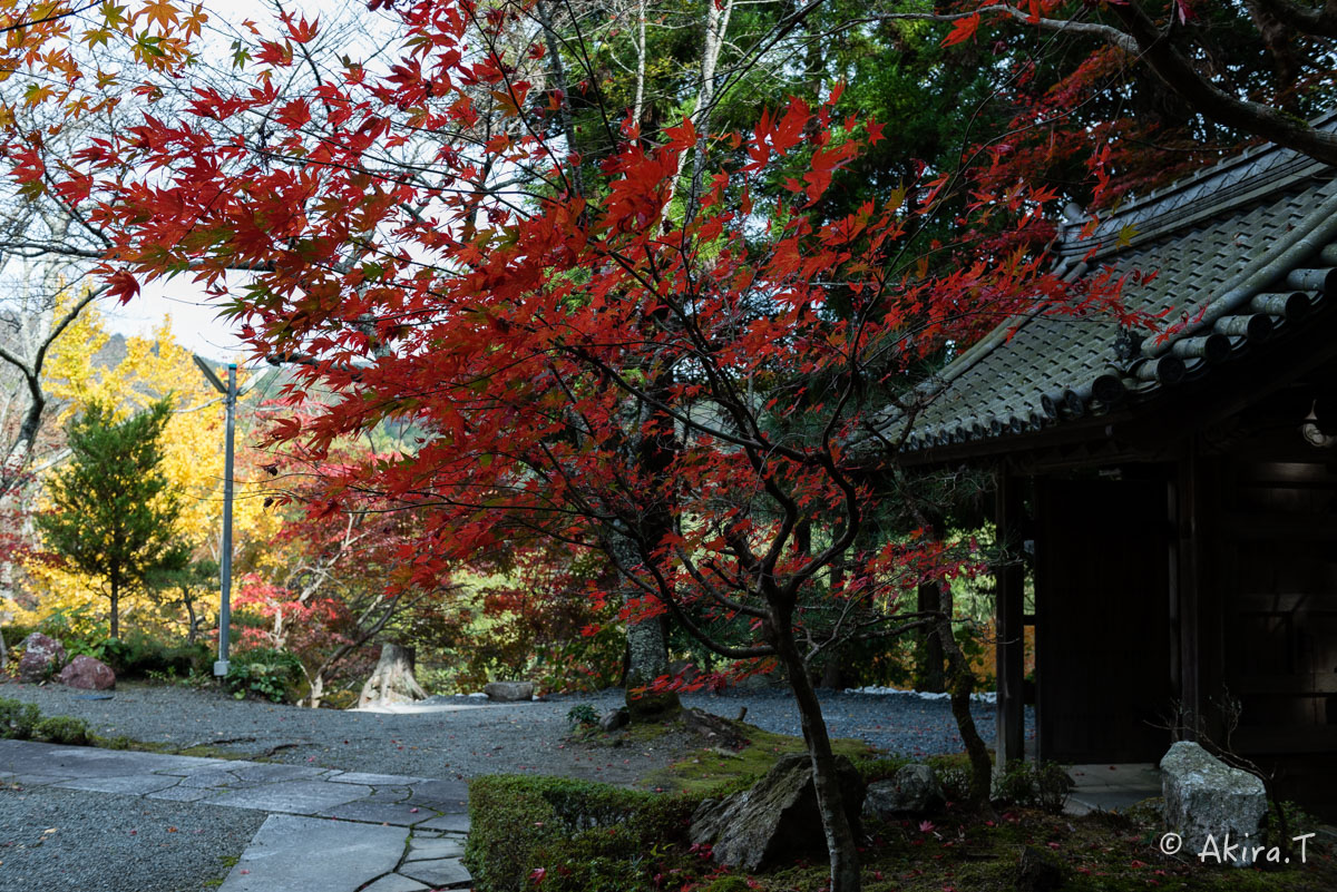 京都・亀岡の紅葉 2015 〜積善寺〜 2_f0152550_16404037.jpg