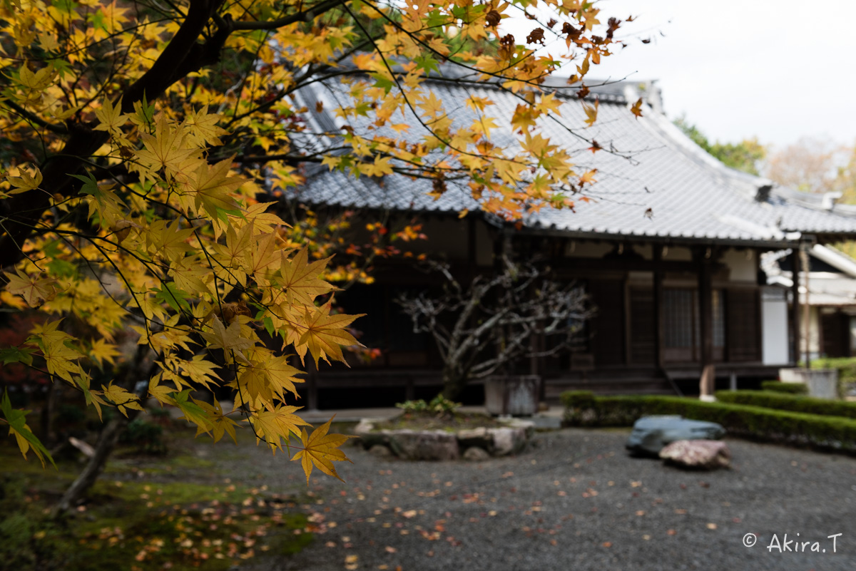 京都・亀岡の紅葉 2015 〜積善寺〜 2_f0152550_1640517.jpg