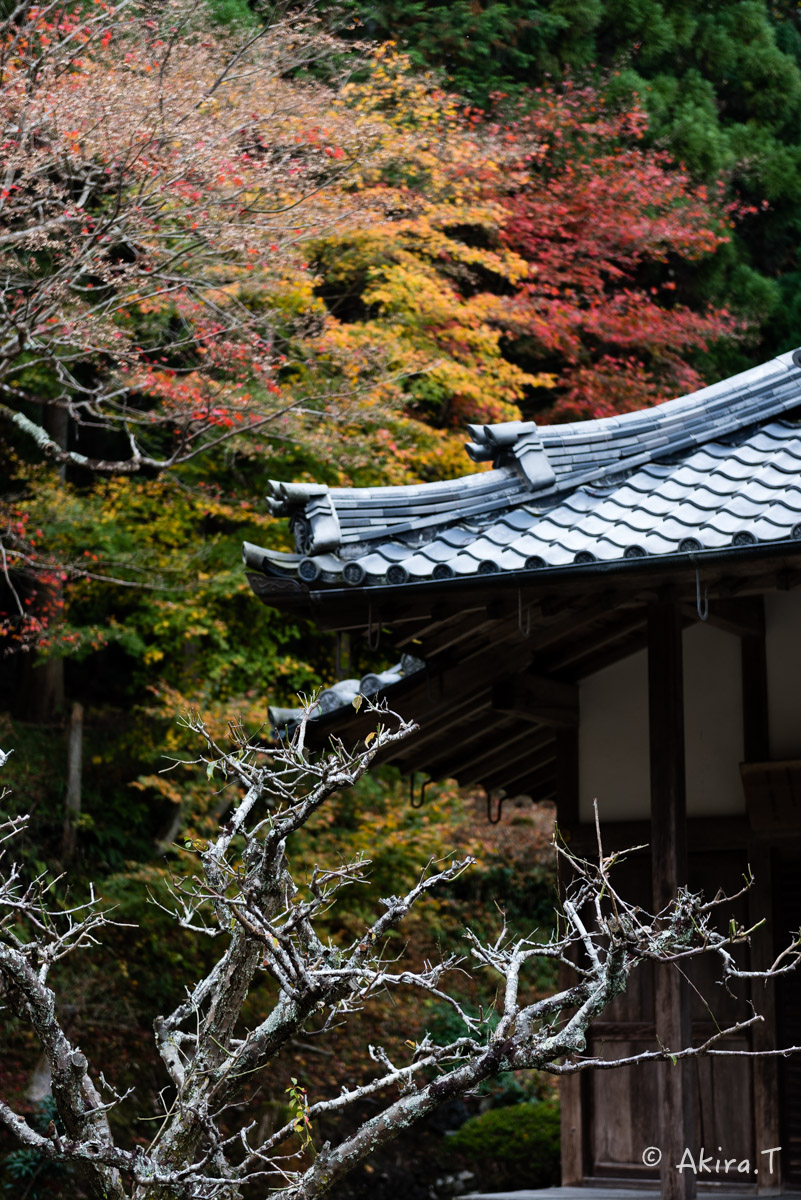 京都・亀岡の紅葉 2015 〜積善寺〜 2_f0152550_16411493.jpg