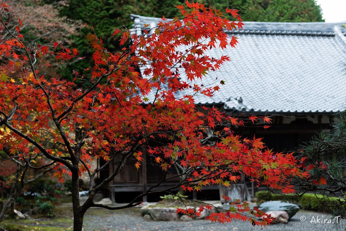 京都・亀岡の紅葉 2015 〜積善寺〜 2_f0152550_16412887.jpg