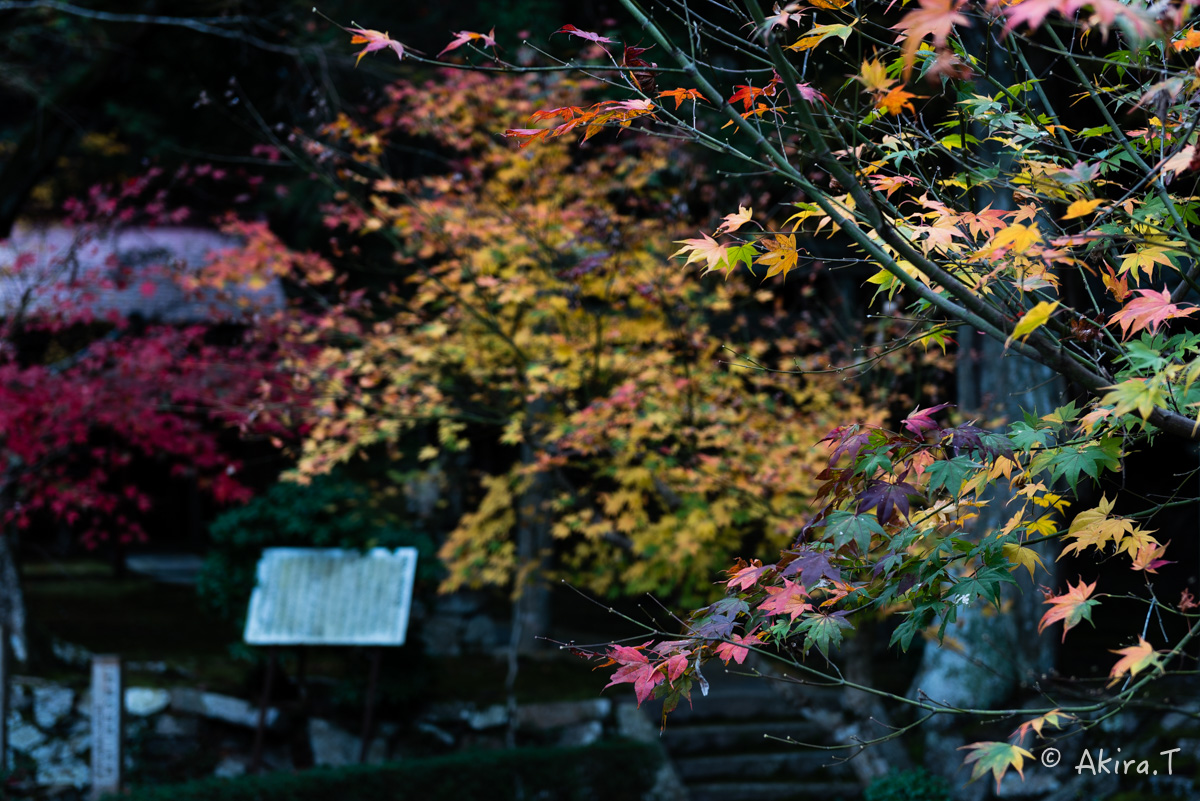 京都・亀岡の紅葉 2015 〜積善寺〜 2_f0152550_16414257.jpg