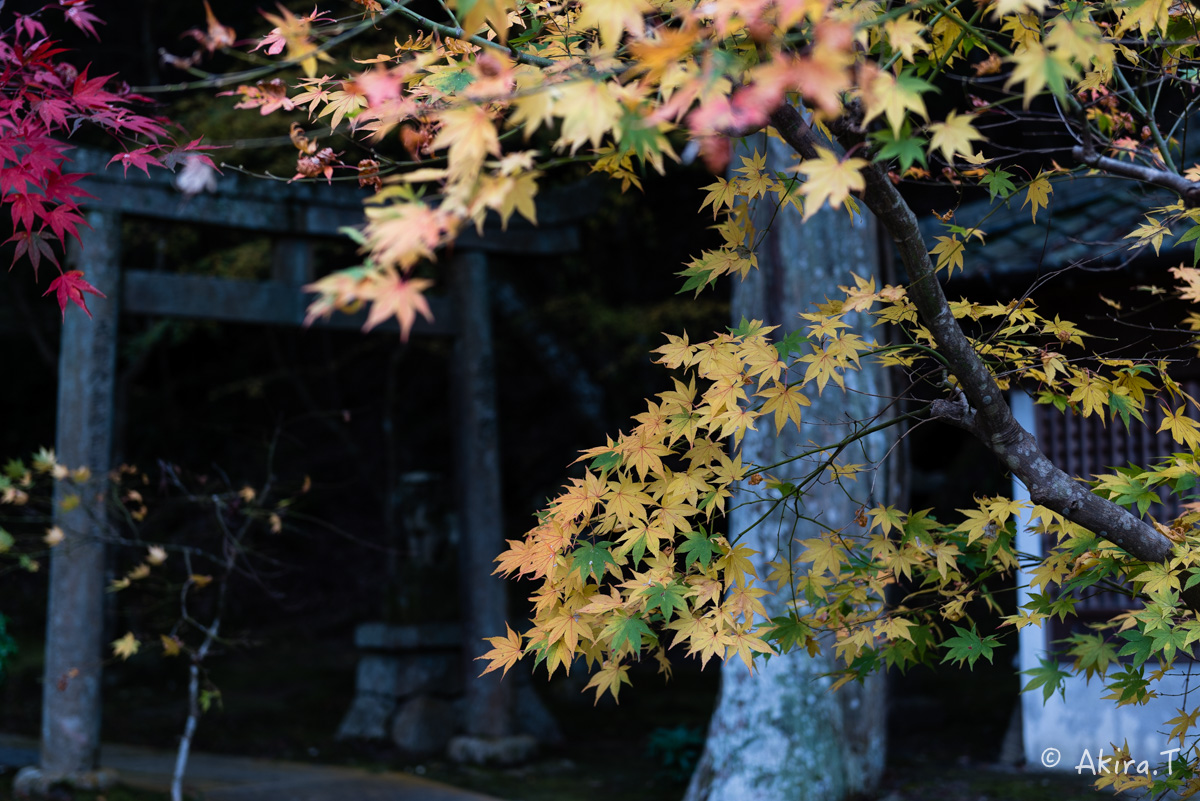 京都・亀岡の紅葉 2015 〜積善寺〜 2_f0152550_16415549.jpg