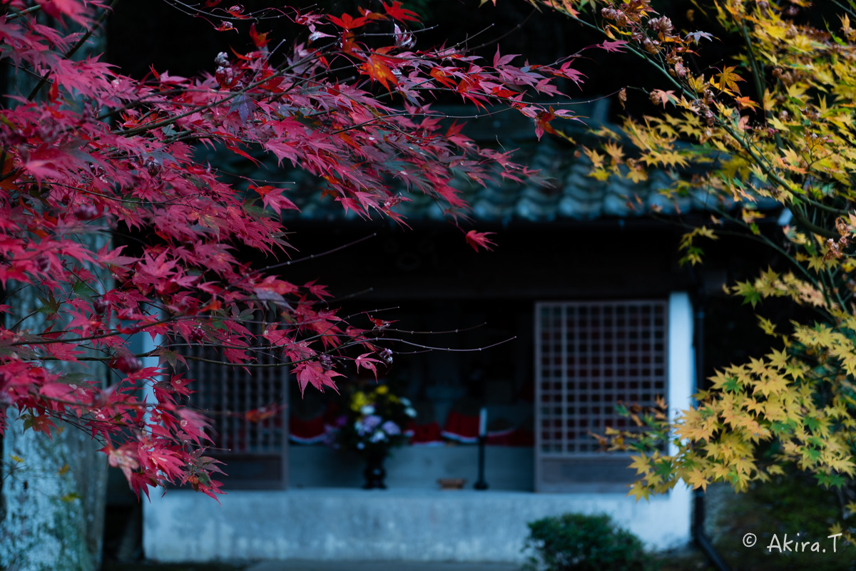 京都・亀岡の紅葉 2015 〜積善寺〜 2_f0152550_1642265.jpg