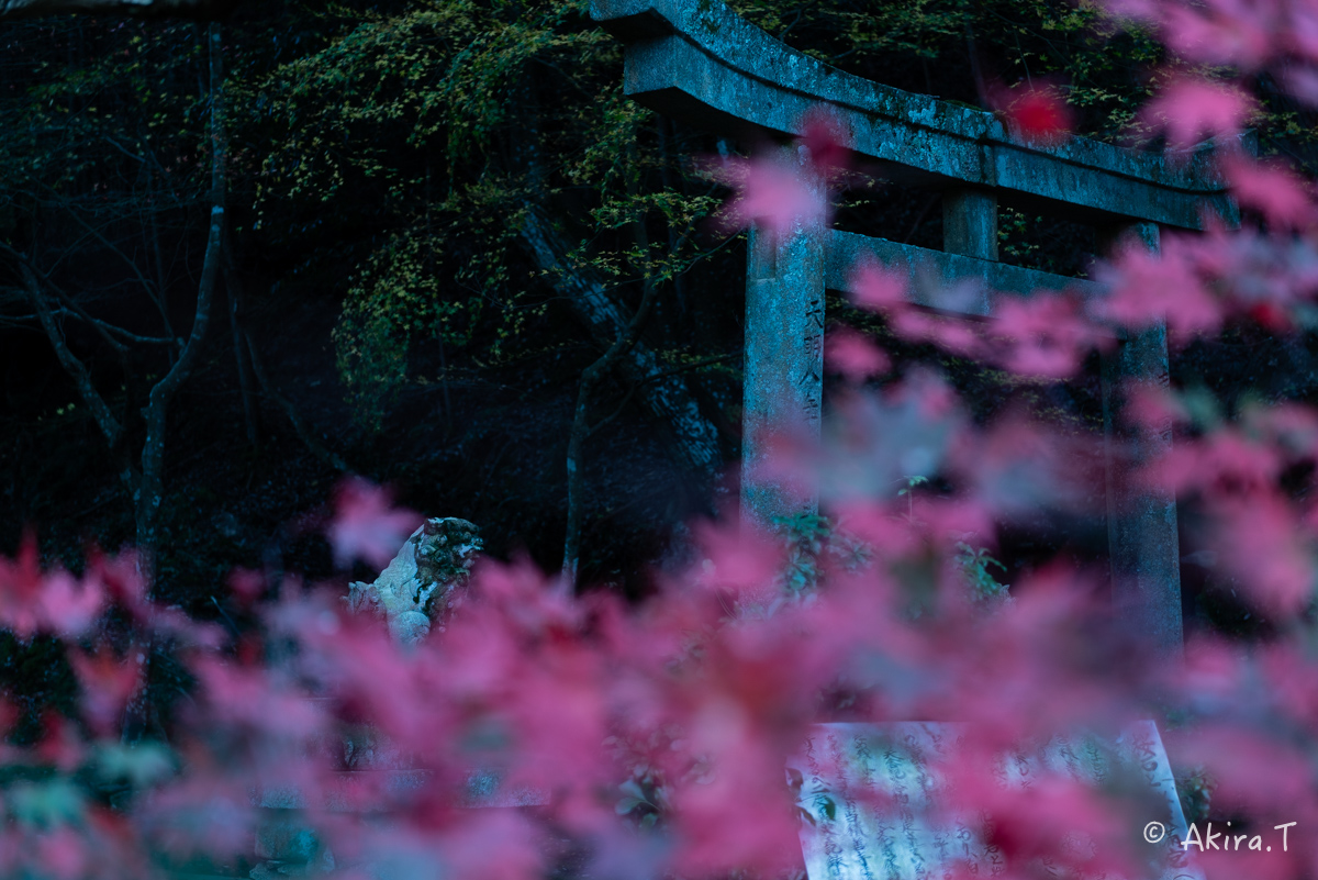 京都・亀岡の紅葉 2015 〜積善寺〜 2_f0152550_1642402.jpg