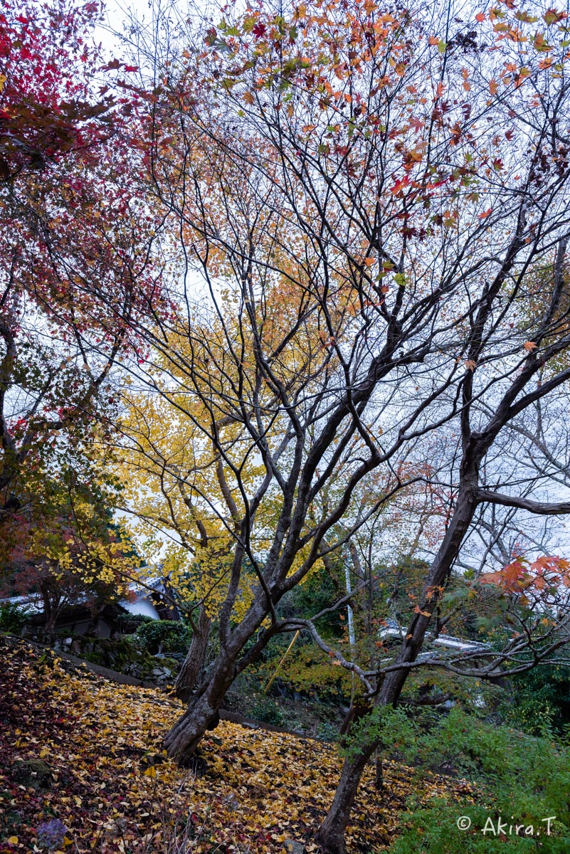 京都・亀岡の紅葉 2015 〜積善寺〜 2_f0152550_16433343.jpg