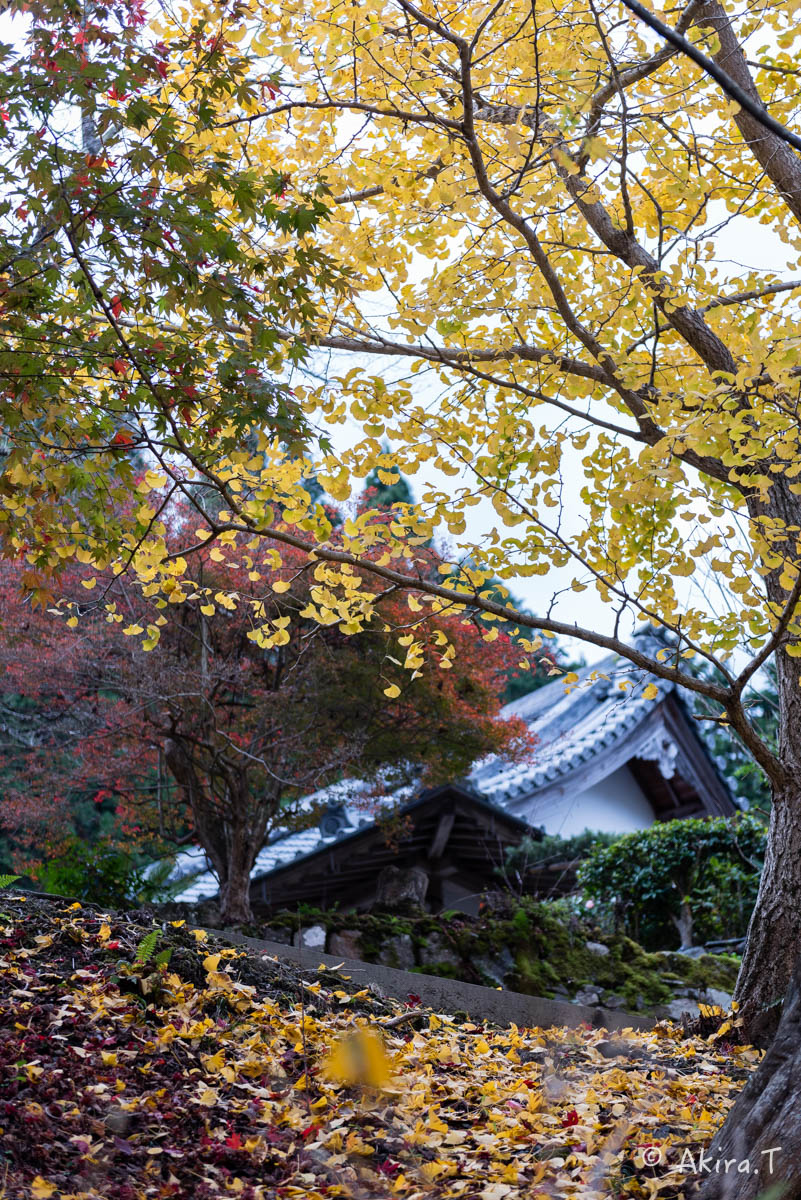 京都・亀岡の紅葉 2015 〜積善寺〜 2_f0152550_1643452.jpg